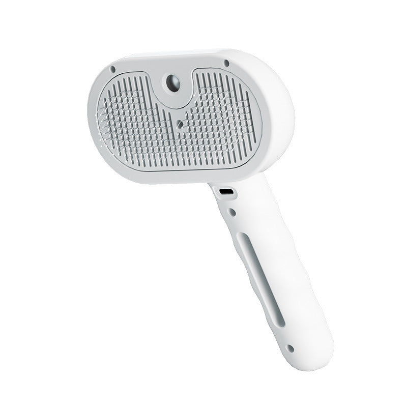 Hot-Selling Cross-Border Pet Electric Spray Comb Cat Dog One-Click Spray Non-Damaging to Skin Removes Loose Hair Massage Comb Mango Comb