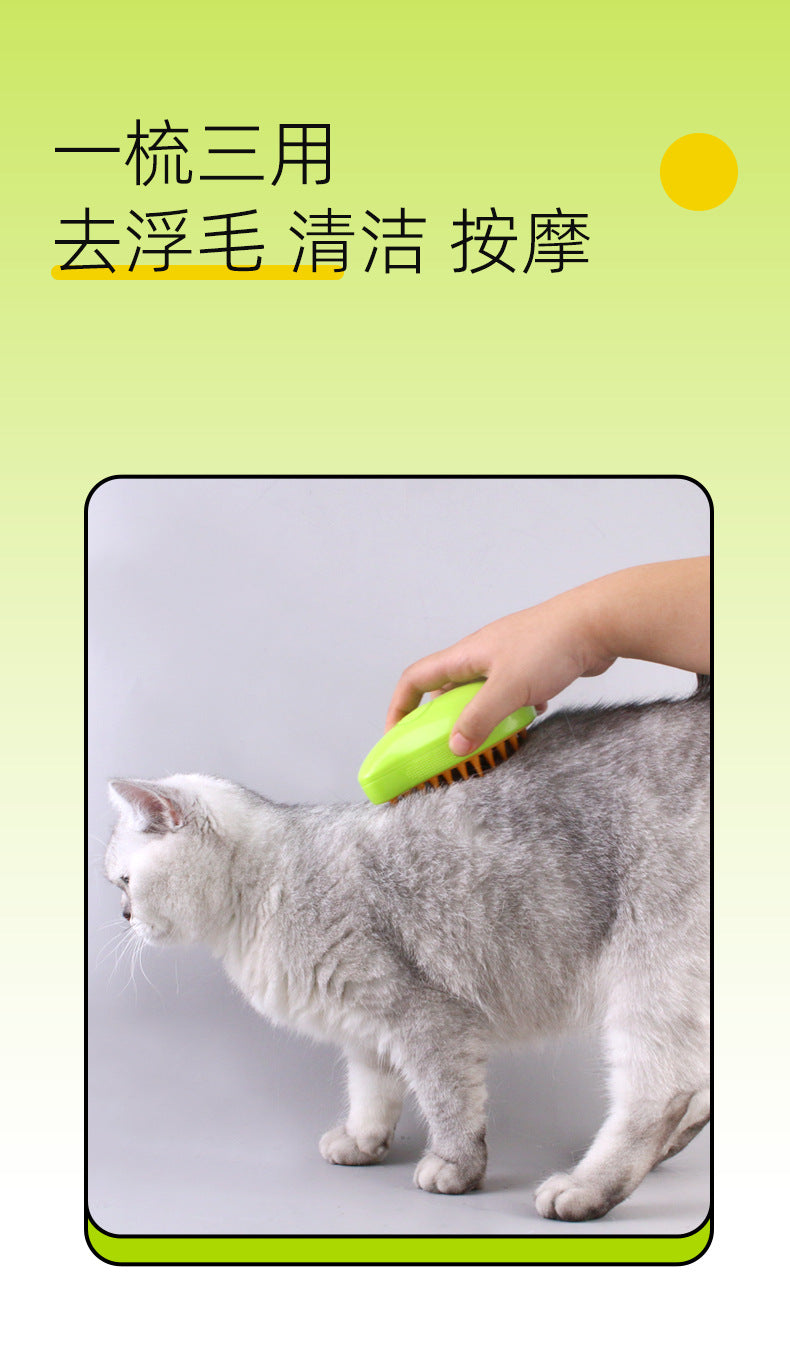 Hot-Selling Cross-Border Pet Electric Spray Comb Cat Dog One-Click Spray Non-Damaging to Skin Removes Loose Hair Massage Comb Mango Comb