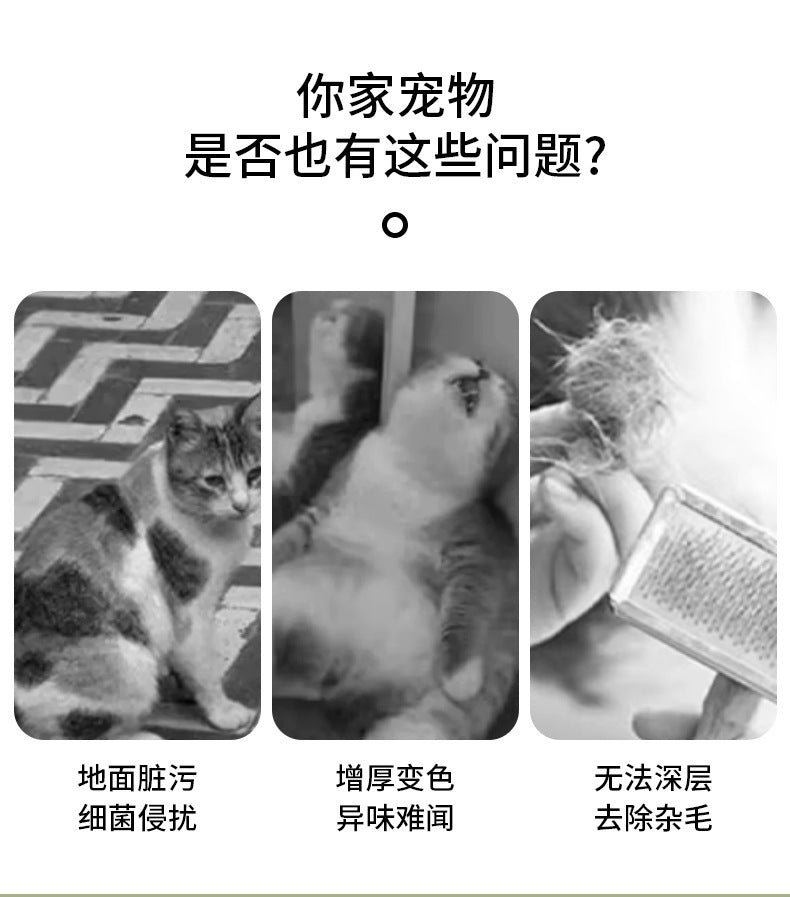 Cross-Border Spray Comb Pet Comb Cat Dog Non-Shedding Needle Comb Pet Grooming Tool Cat Comb Pet Supplies