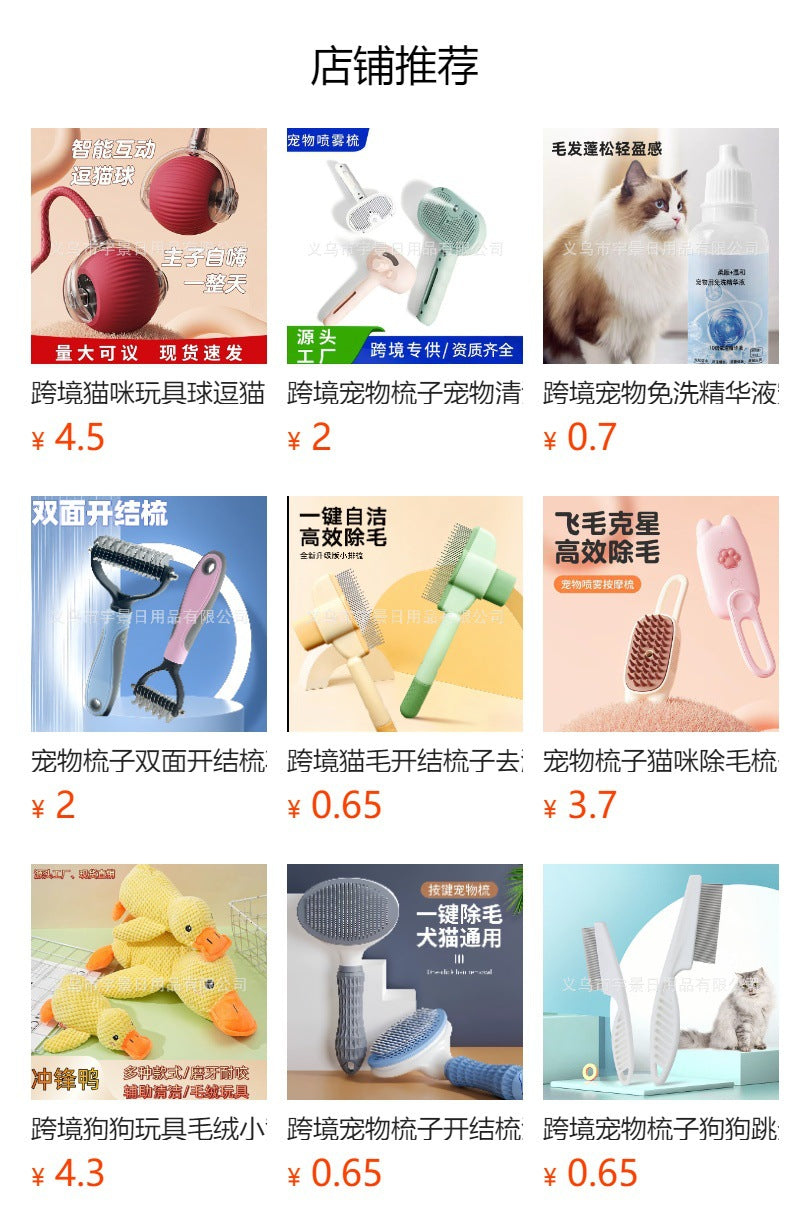 Hot-Selling Cross-Border Pet Electric Spray Comb Cat Dog One-Click Spray Non-Damaging to Skin Removes Loose Hair Massage Comb Mango Comb